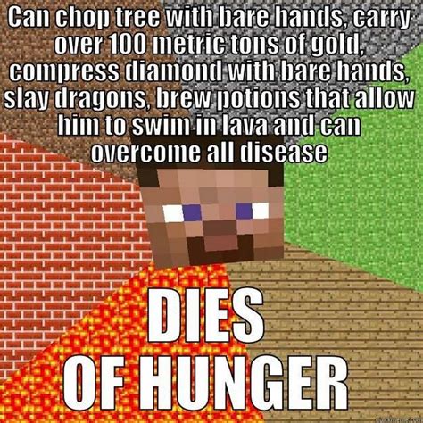 funny minecraft pics|most funniest minecraft memes.